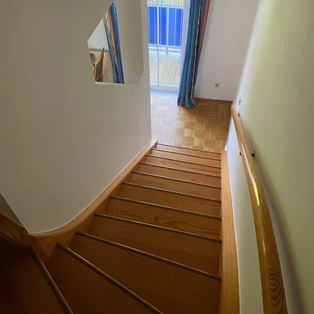 Stubalm In Der Lipizzanerheimat * Köflach